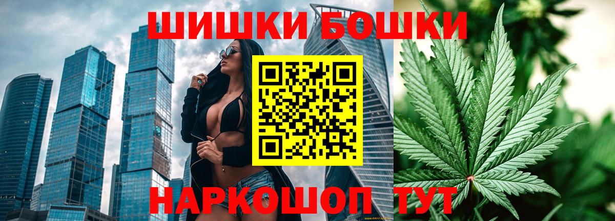 Бошки Шишки планчик Котовск