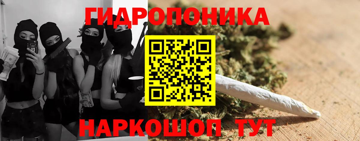 Каннабис ГИДРОПОН  МАРИХУАНА Ganja  Котовск  Шишки марихуана VHQ  Вход с VPN  Марихуана VHQ 